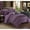 Plum, variant on 10-Piece Aero Pleated and Ruffled Bed in a Bag Comforter and Sheet Set