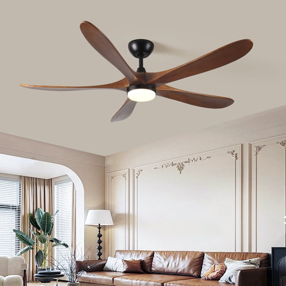 Eowynic 52-Inch Modern Ceiling Fan with Light, Remote Control, 5 Solid Wood Blades, Reversible DC Motor, 6-Speed, Black
