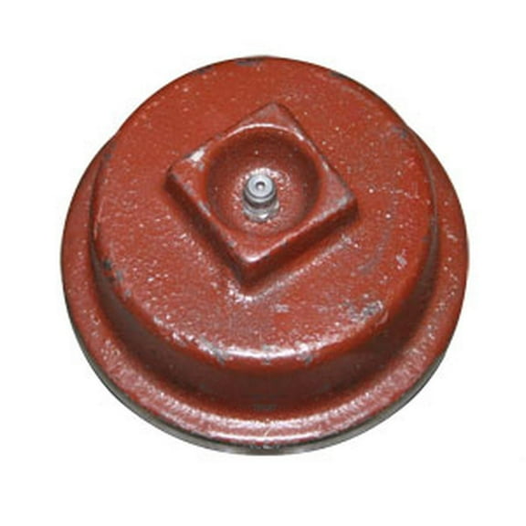 RAParts S.40247 Hub Cap Fits Massey Ferguson
