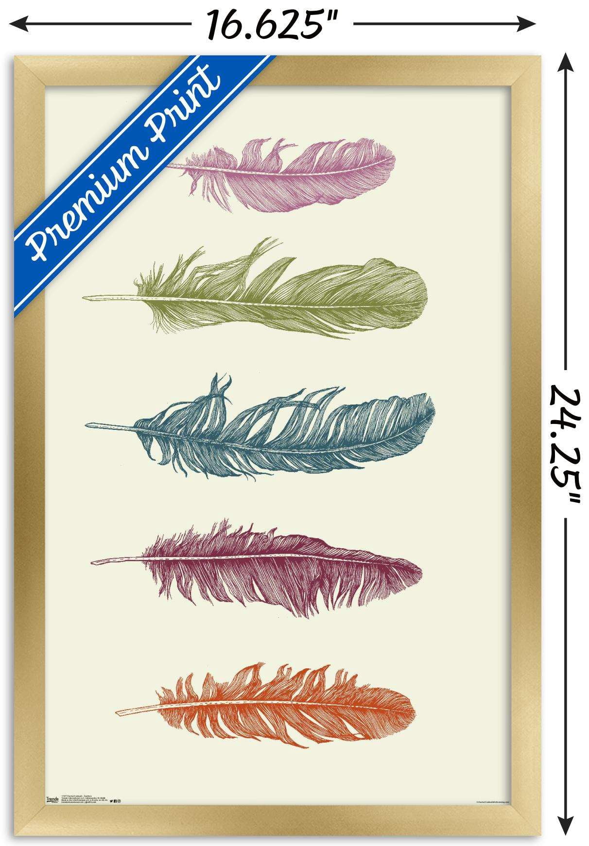 Rachel Caldwell - Feathers Wall Poster, 14.725" x 22.375", Framed
