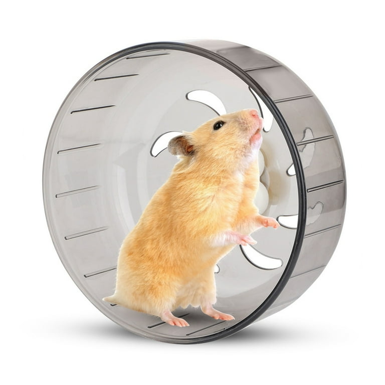 Silent Hamster Wheel Exercise Wheel For Syrian Hamsters Quiet