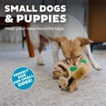 thumbnail image 5 of Outward Hound Squeakin’ Squirrels – 3‑Pack Plush Squeaky Dog Toys for Puppies, Small Dogs & Hide-A-Squirrel Replacements, 5 of 5