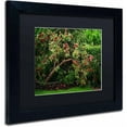 thumbnail image 2 of Trademark Fine Art "The Apple Tree" Canvas Art by Philippe Sainte-Laudy, Black Matte, Black Frame, 2 of 4