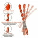 thumbnail image 3 of Kit Xtellar 10 Piezas Multifuncional Brocas Azulejo Pared Concreto, 3 of 3