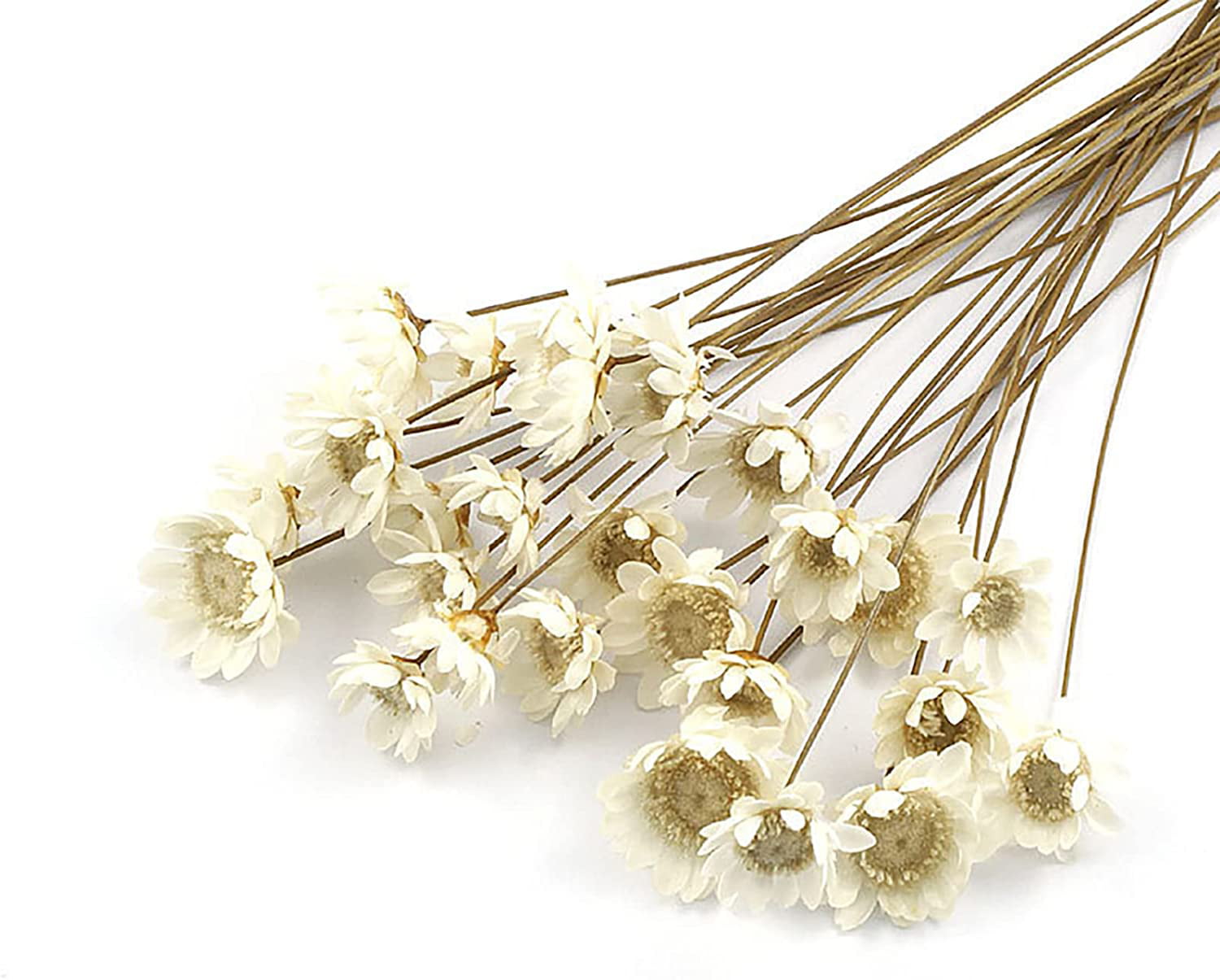 Dried Babies Breath Hair Pins with Pearls - Be Something New