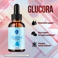thumbnail image 4 of Glucora Advanced Formula Drops Natural Support Supplement 60 Servings, 4 of 8