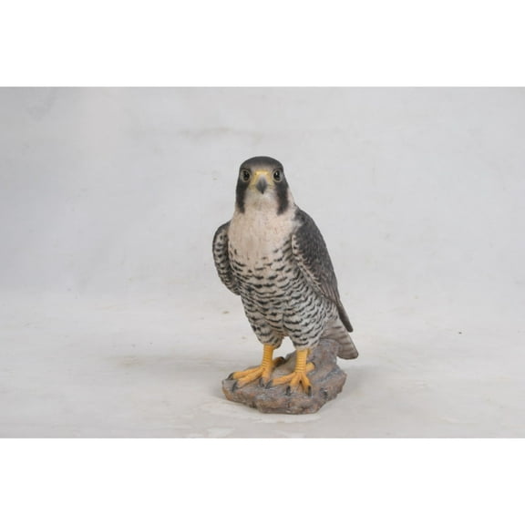 Hi-Line Gifts 10.25" Peregrine Falcon Outdoor Garden Statue