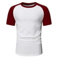 thumbnail image 4 of Ierhent T-Shirts for Men Men's Short Sleeve Crew T-Shirts(,L), 4 of 5