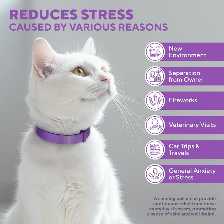 Beloved Pets Cat Calming Collar Pet Stress Relief for Cats