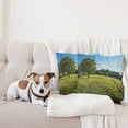thumbnail image 4 of Ambesonne Forest Throw Pillow Cover 2 Pack, Uplifting Nature Photo, 20", Green Blue, 4 of 7