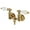 Polished Brass, variant on Kingston Brass AE35T2 Aqua Vintage 3-3/8 Inch Wall Mount Tub Faucet, Polished Brass