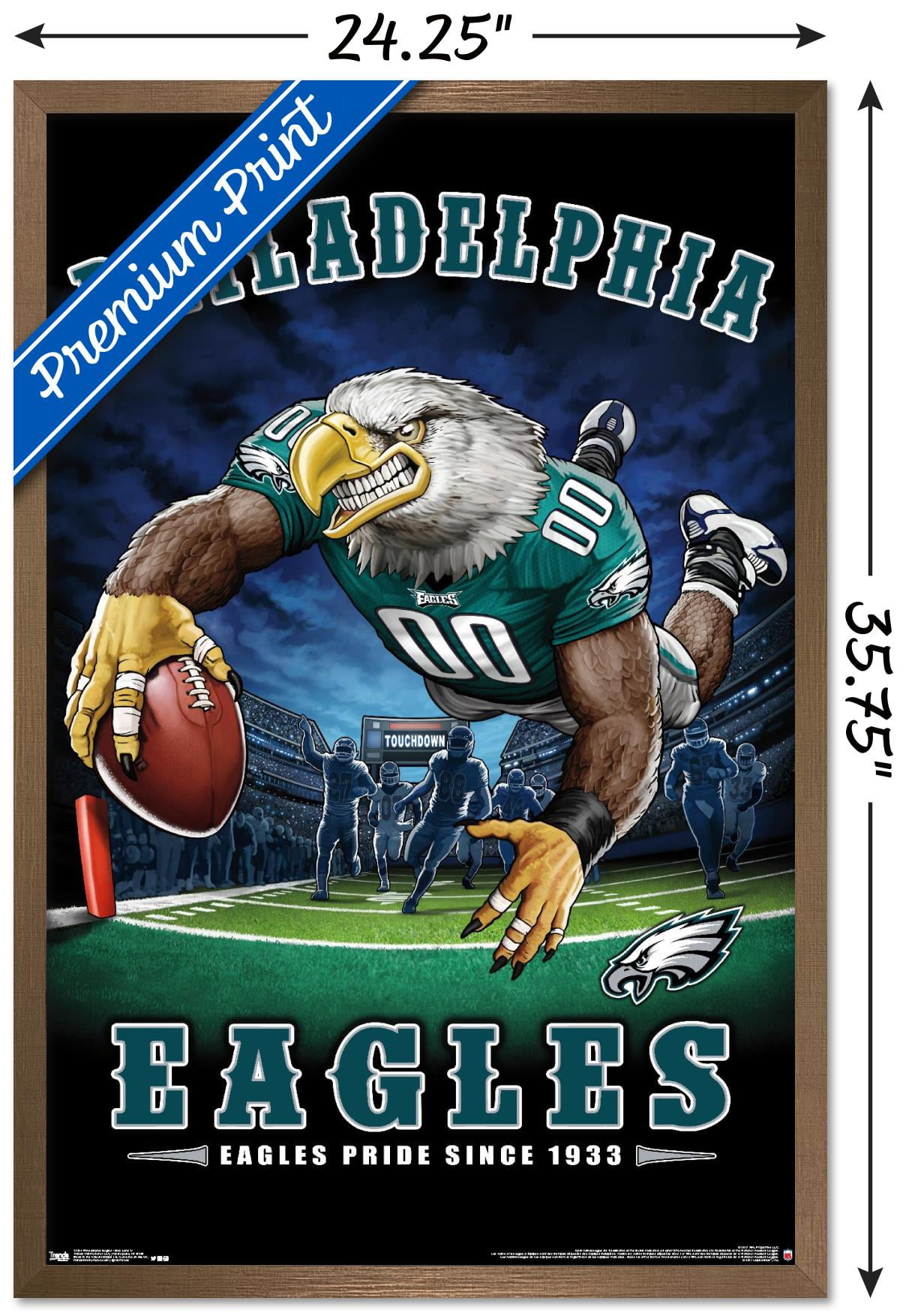 17 inch NFL PHILADELPHIA EAGLES FOOTBALL TEAM COLORS