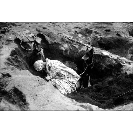 24"x36" Gallery Poster, Marine with war dog on Iwo Jima 1945