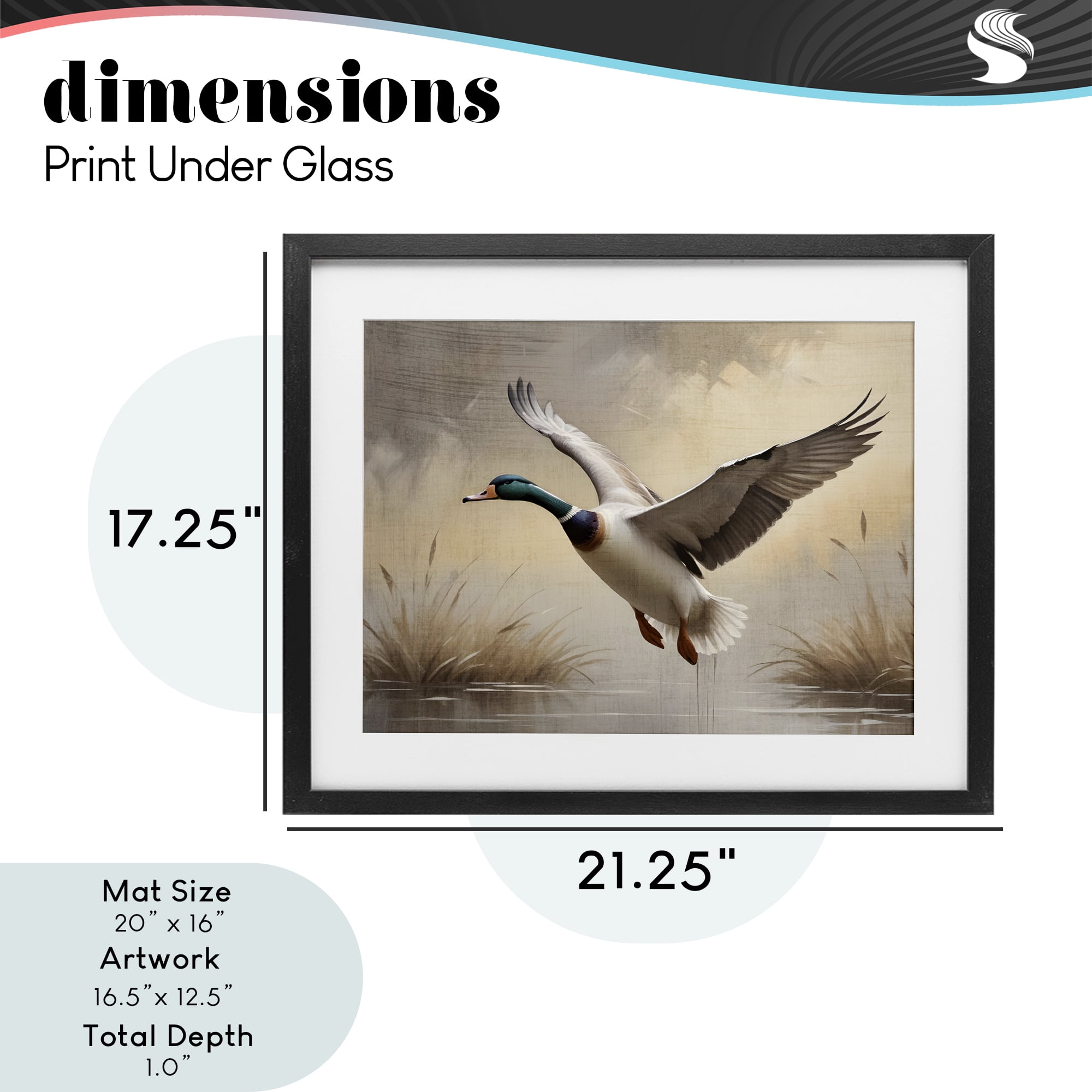 Stupell Industries Gliding Mallard over Wetlands Black Framed Print Under Glass, design by Susan Arnot