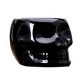 thumbnail image 1 of Maceta de cerámica con forma de calavera para suculentas, color verde, para cactus (negra), 1 of 6