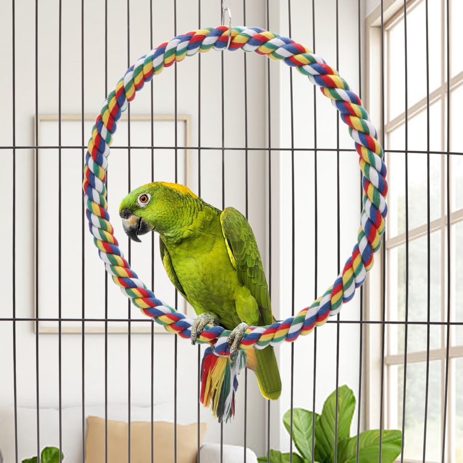 Bird Rope Swing Colorful Perch Climbing Toy for Parrots Budgie Parakeet Cockatiel Cockatoo Conure