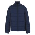 thumbnail image 1 of Regatta Professional Mens Thermal Jacket, 1 of 4