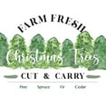 thumbnail image 2 of Stella & Jack Studio 26x26 Black Ornate Wood Framed with Double Matting Museum Art Print Titled - Farm Fresh Christmas Trees, 2 of 4