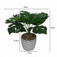 thumbnail image 2 of Plante en pot de Lerman Decor, 2 of 4