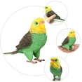 thumbnail image 3 of MasteelfCA Simulation Parrot Model Solid Static Artificial Parrot Model Toy Desktop Ornament, 3 of 7
