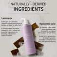 thumbnail image 3 of Laferme Laminaria  Hair Shampoo with Organic Ingredient, White Musk, 16.9 FL OZ, 3 of 6