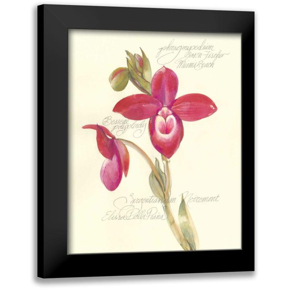 Della-Piana, Elissa 12x14 Black Modern Framed Museum Art Print Titled - Elissas Garden II