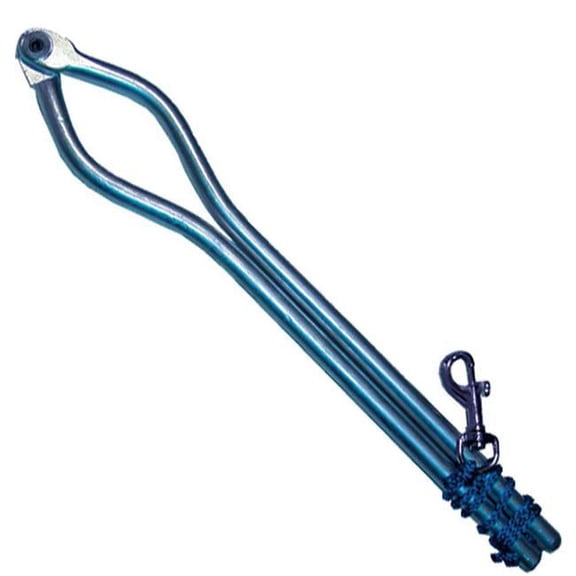 Intrepid International Humane Horse Twitch