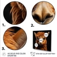 thumbnail image 3 of Designart "Serene Alpaca with Natural Grace" Animals Framed Wall Art Decor - Traditional Black Alpaca Entryway Framed Wall Art Print, 3 of 6