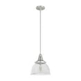 thumbnail image 2 of Hunter - Cypress Grove 1-light Brushed Nickel, Small Pendant Light, Dimmable, Transitional Style, Dome Shaped, for Bedrooms, Dining, Living Rooms - 19328, 2 of 8