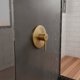 thumbnail image 3 of Monomando Regadera Baño Color Bronce 14cm Diametro Hi122br, 3 of 3