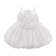 thumbnail image 2 of Delliss Tutu Dress for Girls Sparkly Tulle Princess Dress 6M-3Y Summer Dress Flower Girls Party Dance Dress, 2 of 9