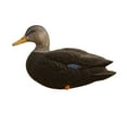 thumbnail image 3 of Avian X AXF Flocked Full Body Rugged Black Ducks Fusion Pack, 18 Pack, 3 of 11