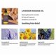 thumbnail image 2 of PURE Lavender Massage Oil - Hydrating, Calming, Warming, Relaxing & Rejuvenating Body Oil - Premium Grade, Made with Natural Oils - Skin Care for Men, 2 of 3