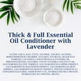 thumbnail image 4 of Dr Teal's Lavender Thick & Full Essential Oil Conditioner, Sulfate Free, 16  fl.oz., 4 of 16