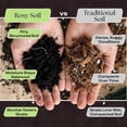 thumbnail image 4 of Rosy Soil Plant Food, All-Purpose Organic Nutrient-Rich Fertilizer - 2qt, 4 of 9