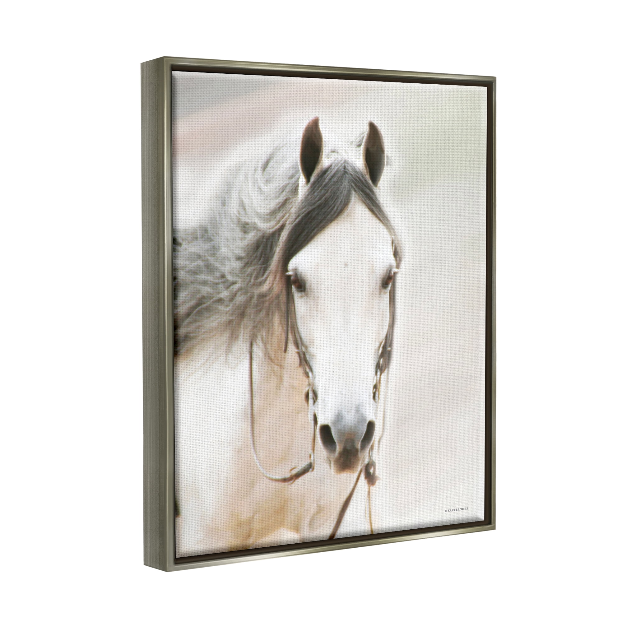Stupell Industries White Horse Portrait Animals & Insects Photography Gray Floater Framed Art Print Wall Art, 17 x 21