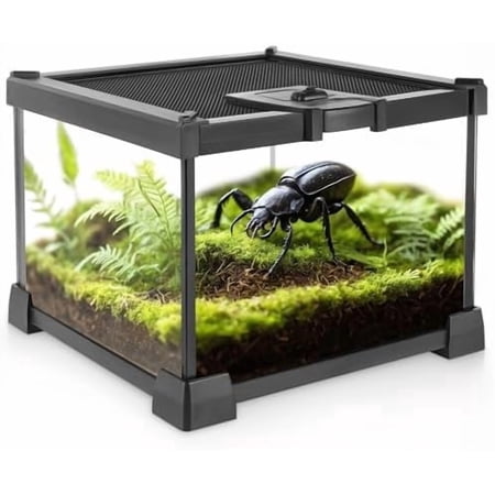 Mini Reptile Glass Terrarium Vivarium 8'' x 8'' x 6'' Full View Tank Small Amphibians Glass Habitat Cage with Feeding Slot & Box Lock Buckle