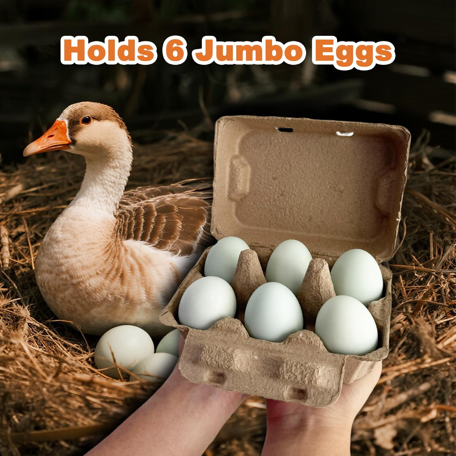 Half Dozen Pulp Duck Egg Carton Container, 6-Count Storage Box for Farm Fresh Double-Yolked Jumbo Eggs, Reusable, Brown
