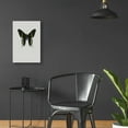 thumbnail image 6 of Epic Art 'Green Butterfly' by Incado, Acrylic Glass Wall Art, 16"x24", 6 of 8
