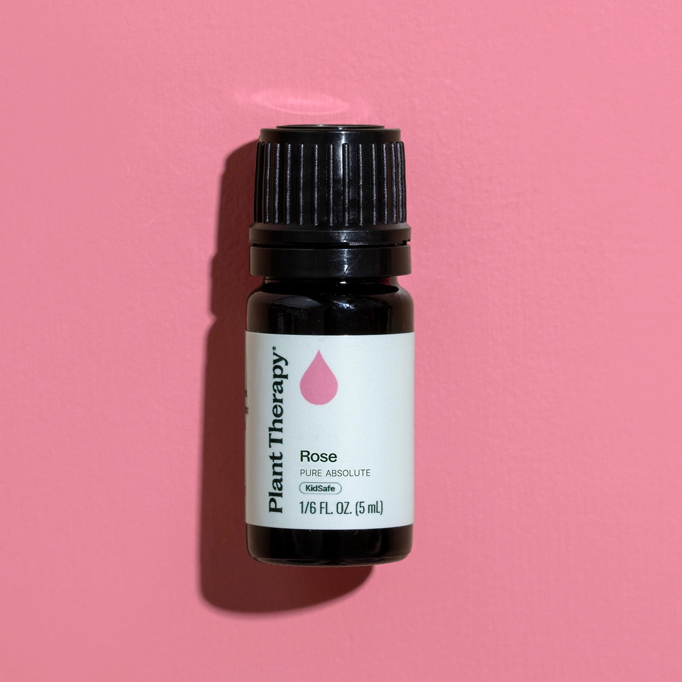 Plant Therapy Pure Rose Absolute Essential Oil 100% Pure, Undiluted, Natural Aromatherapy, Natural Aromatherapy 5 mL (1/6 oz)