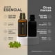 thumbnail image 2 of Aceite Esencial De Orégano | 50 ml | Ingredientes Puros y Naturales | Oregano Essential Oil | B Life., 2 of 7