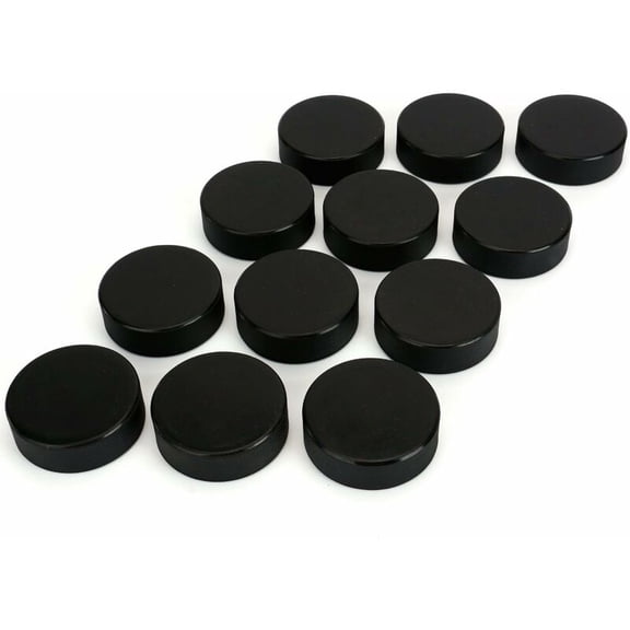 Faswin Classic Ice Hockey Puck 12 Pack
