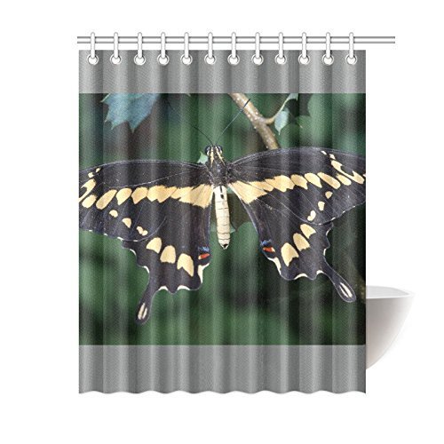 ABPHQTO Cortina de ducha de baño mariposa cola de golondrina gigante 150x180 cm