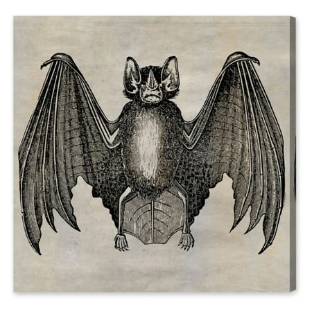 Hatcher Ethan Bat Canvas Wall Art Hatcher Ethan Bat Canvas Wall Art