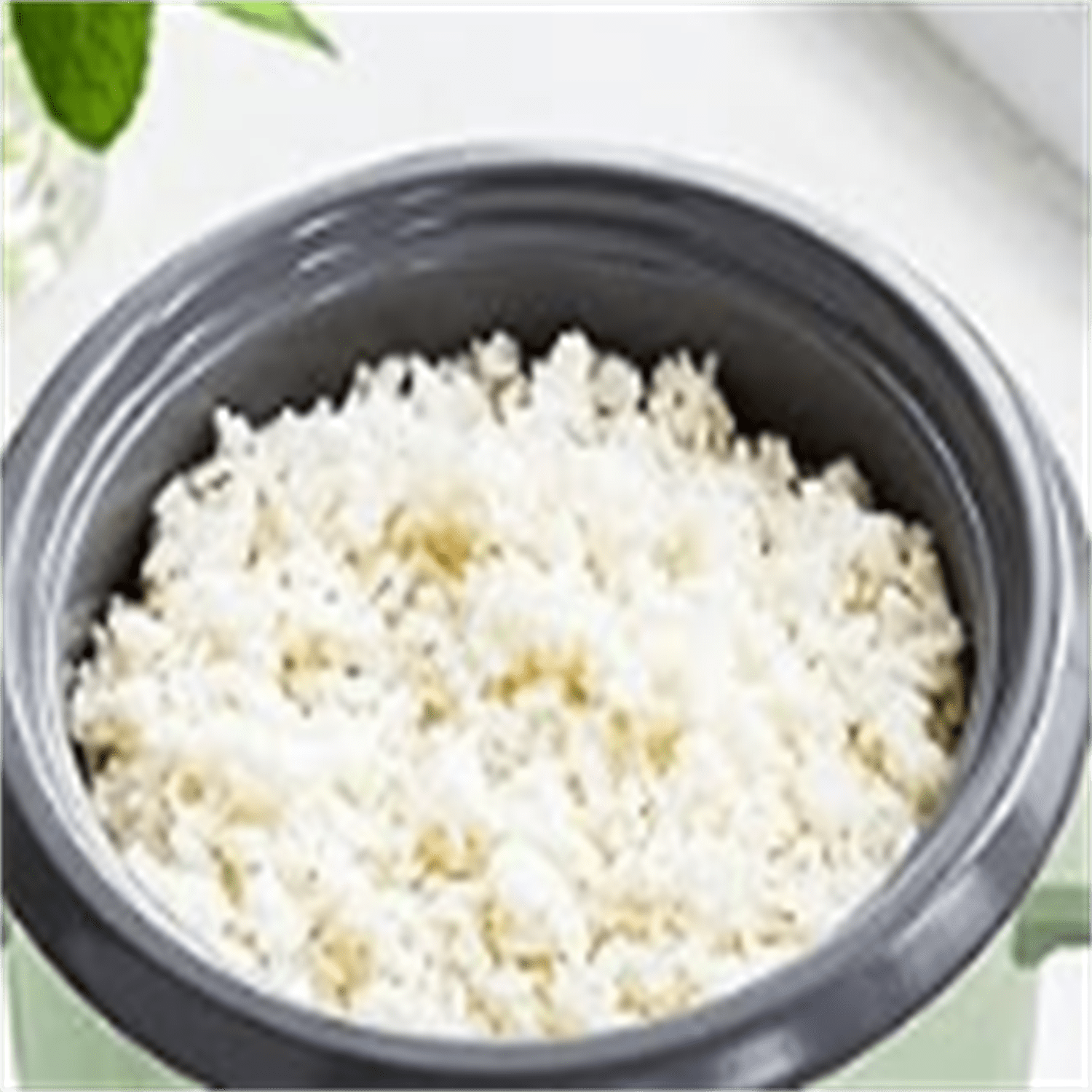 Rice Cooker with Removable PFAS-Free Nonstick Pot, 3-Cups Uncooked/6-Cups Cooked, One-Switch Design, Auto Keep Warm Function, Soup, Grains, Oatmeal, Wood Handle, Sage Green