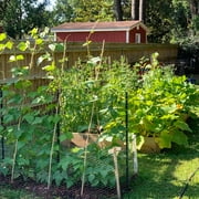 Garden Craft 24in H x 50ft L Gray Chicken Wire with 1in Openings
