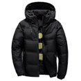 thumbnail image 1 of Men's Winter Thick Quilted Down Jacket Xxl, 1 of 1