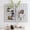 Black, variant on Metal Mesh Wall Grid Panel for Photo Display,Message Board,Size: 17.5" x 11.8",Pack of 2 (White)