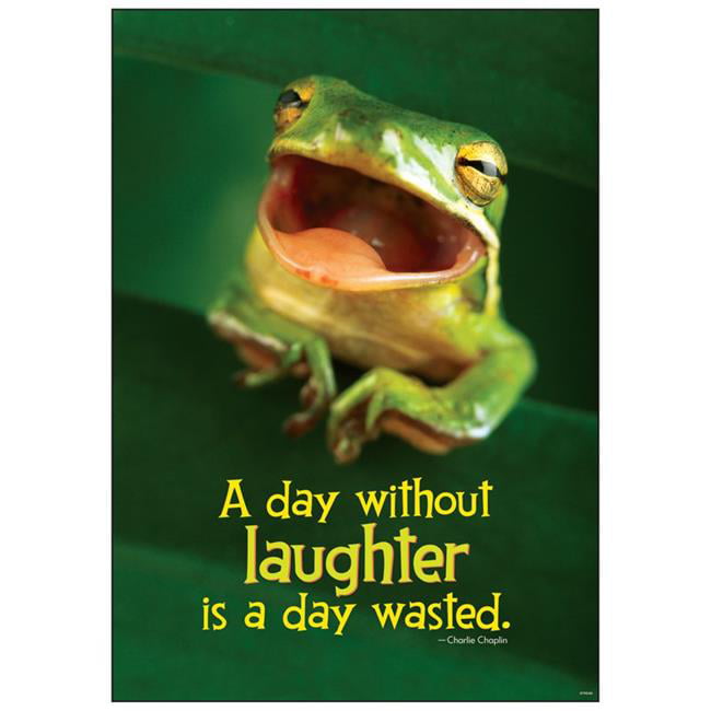 A Day Without Laughter Is A Day Wasted NEW Classroom Motivational POSTER 