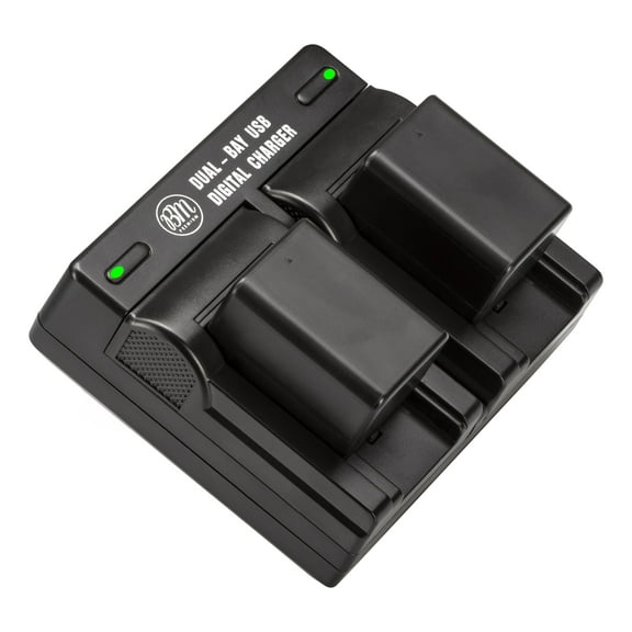 BM Premium 2 Pack VW-VBK180 Batteries and Dual Bay Charger for Panasonic HC-V10 HC-V100 HC-V500 HC-V600M V700 HDC-HS40 HS60 HS80 SDR-T71 T76 Camcorder